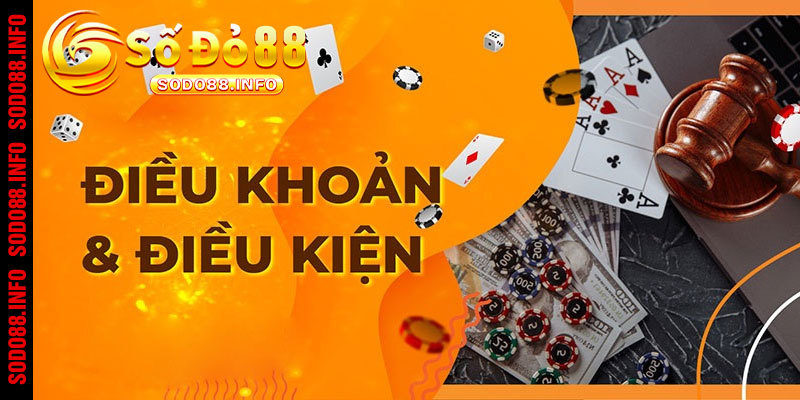 Điều khoản điều kiện phổ biến trong dịch vụ trực tuyến 